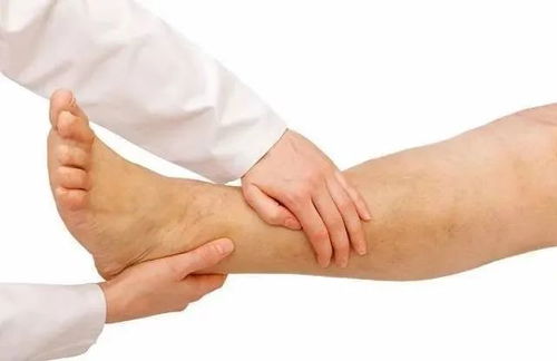 寧姐月嫂進社區，公益講座傳健康 唐山路社區經絡養生講座圓滿舉辦